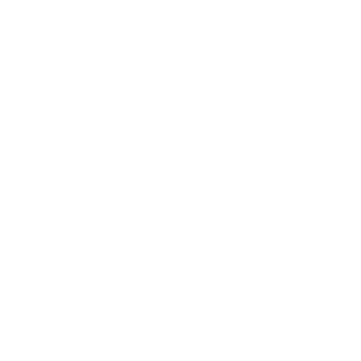 Brand Byd logo.